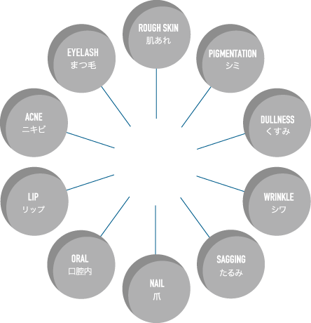 肌あれ／シミ／くすみ／シワ／たるみ／カラダ／口腔内／ニキビ／毛穴／ベタつき