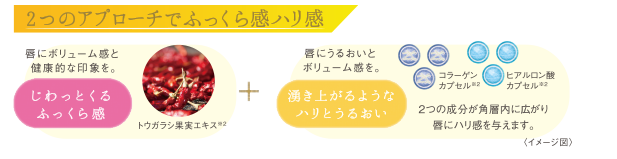 2ステップでふっくら感ハリ感