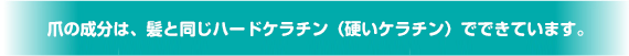 爪の成分は、髪と同じハードケラチンでできています。