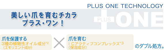 PLUS ONE TECHNOLOGY